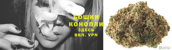 ешки Семилуки