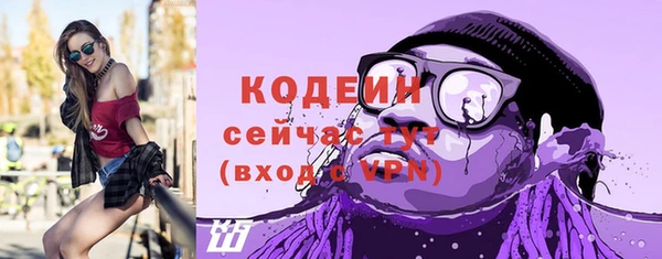 ешки Семилуки