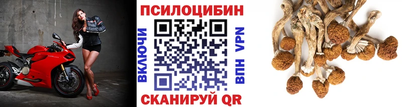 Псилоцибиновые грибы Cubensis  Шумерля 